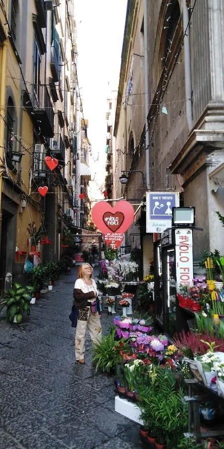 Montesantogroup Holiday House Napoli Casa vacanze